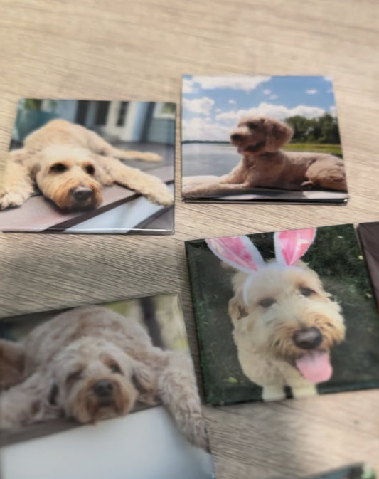 Custom Photo Magnets